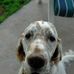 Profile Picture of Carl Necker (@carl.necker) on Facebook