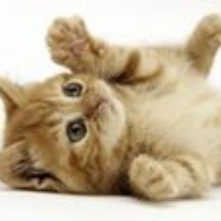 Profile Picture of Mario Stewart (@mario-stewart-1) on Quora