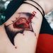 Profile Picture of David Jonson (@davidj0451) on Pinterest
