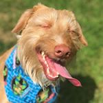 Profile Picture of MIKE CASTRO (@mikecastro2015) on Instagram