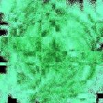 Profile Picture of Mackenzie Austin (@mackenzie_austinxl8) on Instagram