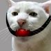 Profile Picture of John Jacobjinglehimershmitz (@john.jacobjinglehimershmitz) on Facebook