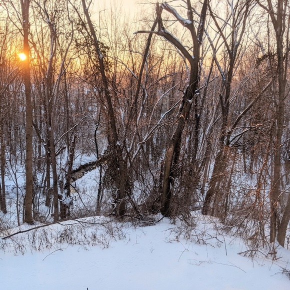 Profile Picture of Amanda Piechota (@amandaspiechota) on Poshmark