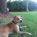 Profile Picture of Daniel Pollock (@daniel.pollock.54943) on Facebook