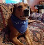 Profile Picture of Sandra Pallatto (@sandra.pallatto) on Facebook