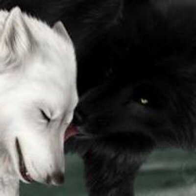 Profile Picture of Kevin Barto Vazquez (@kevinbartovazqu) on Twitter