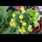 Profile Picture of Jason Helson (@Jason-Helson) on Facebook