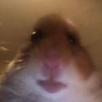 Profile Picture of nathan.redden (@nathan.redden) on Instagram