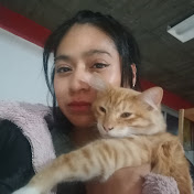 Heidi Rayon - Youtube Profile Picture of Heidi Rayon (@heidirayon7814) on Youtube