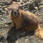 Profile Picture of Kyle VanSickle (@kvansi_) on Instagram