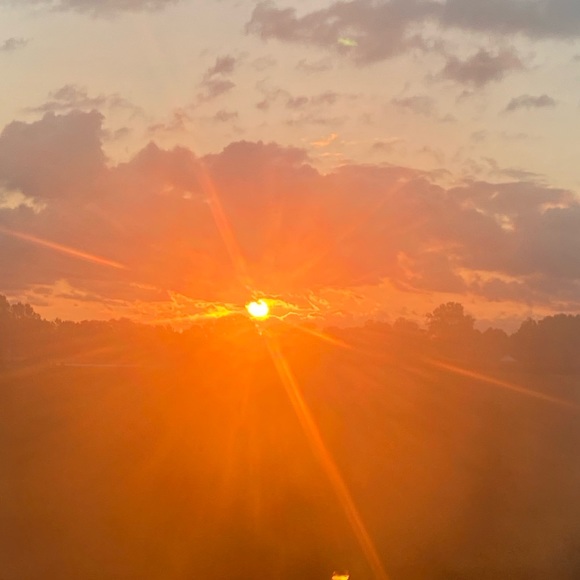 Profile Picture of Audrey Sobecki (@audreysobecki) on Poshmark