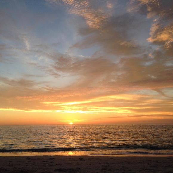 Profile Picture of Bobbie Chabino (@tweedle59) on Poshmark