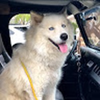 Profile Picture of Edwin Pimentel (@edwin-pimentel-15) on Quora