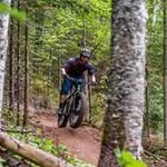 Profile Picture of John Swayze (@swayze.john) on Instagram