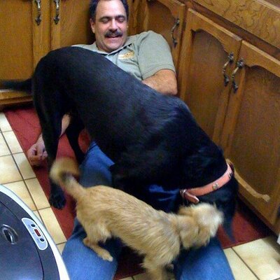 Profile Picture of Steve Kiser (@Burntundra) on Twitter