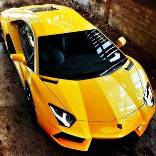 Profile Picture of Daniel Ramsawak (@Daniel-Ramsawak) on Facebook