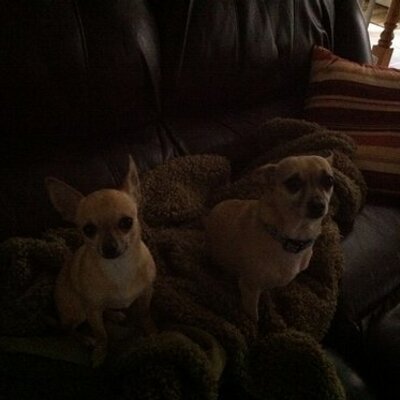 Profile Picture of Kim Dennis (@Cheshire1973Kim) on Twitter