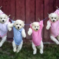 Profile Picture of Avery Dillon (@avery-dillon-2) on Quora