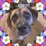 Profile Picture of Andrew Quam (@boyperson71) on Instagram