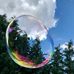 Profile Picture of Thomas Neuffer (@thomas.neuffer.5) on Facebook