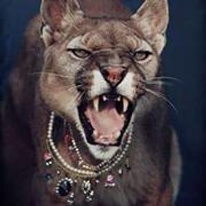 Profile Picture of Tenna Hansen (@tenna.hansen.52) on Myspace