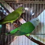 Profile Picture of Roberto Cimarelli (@roberto.cimarelli) on Instagram