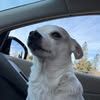 Profile Picture of Mary Jewett (@mary.jewett3) on Tiktok
