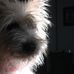 Profile Picture of Cindy Markham (@cindy.markham.31) on Facebook