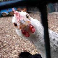 Profile Picture of Joanne Gauthier (@joanne-gauthier-3) on Quora