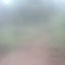 Profile Picture of Millicent Evans (@millicent.evans.739) on Facebook