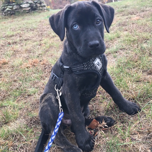 Alysha Dukette - Poshmark Profile Picture of Alysha Dukette (@adukette) on Poshmark