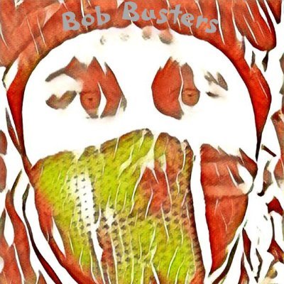 Profile Picture of Bob Busters (@BobBusters) on Twitter