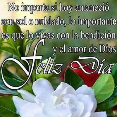 Profile Picture of Rosa Caudillo Vallejo (@RosaCaudilloVa2) on Twitter