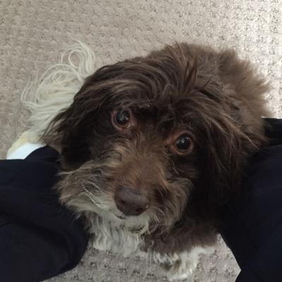 Profile Picture of Glenn Tate (@glenntate) on Twitter