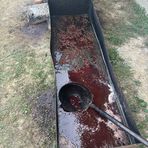 Profile Picture of Robert Klenner (@Robert-Klenner) on Facebook