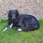 Profile Picture of John Maciver (@john.maciver.39) on Instagram