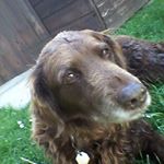 Profile Picture of Kevin Barrass (@barrasskevin) on Instagram