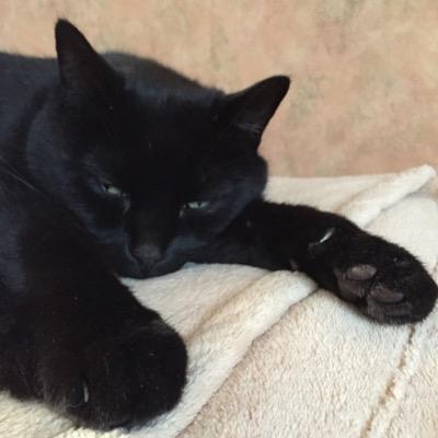 Profile Picture of Chris Haswell (@haswell_chris) on Twitter