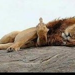 Profile Picture of Tony winter (@winter360247) on Instagram