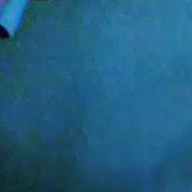 Profile Picture of Robert Disla (@robertdisla1852) on Youtube