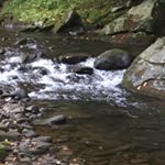 Profile Picture of Joseph Sparacio (@king_hunter_fisher) on Instagram