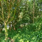 Profile Picture of Torres Montijo (@torres.montijo.2025) on Facebook