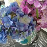 Profile Picture of Victoria Petrone (@victoria.petrone.165) on Instagram