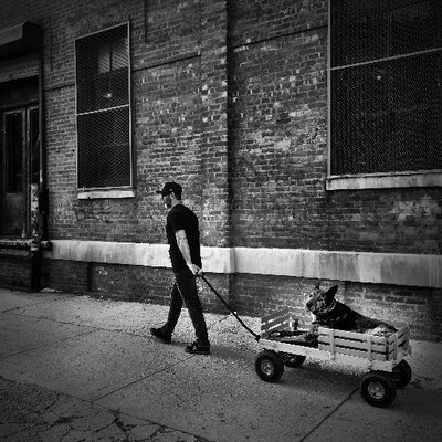 Profile Picture of Randy Falcon (@randyfalcon) on Twitter