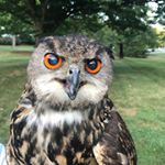 Profile Picture of Paul Mudd (@paulmuddnc) on Instagram