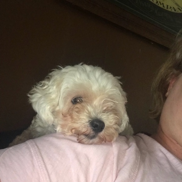 Profile Picture of Barbarbara Dufrene (@barbarawdufrene) on Poshmark