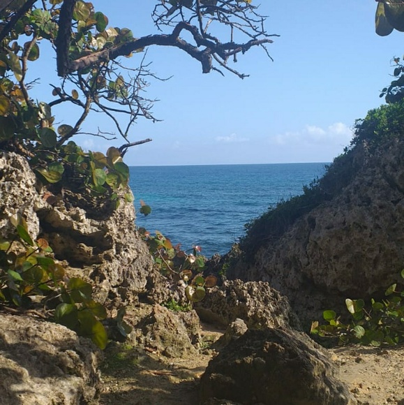 Profile Picture of Alanis Bousono (@alanisbousono) on Poshmark