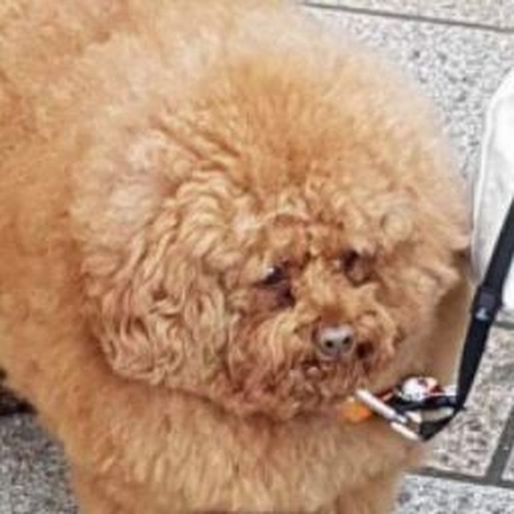 Profile Picture of Johan Knudsen aardal (@johanknu) on Poshmark