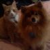 Profile Picture of Tina Yip (@tina.yip.58) on Facebook