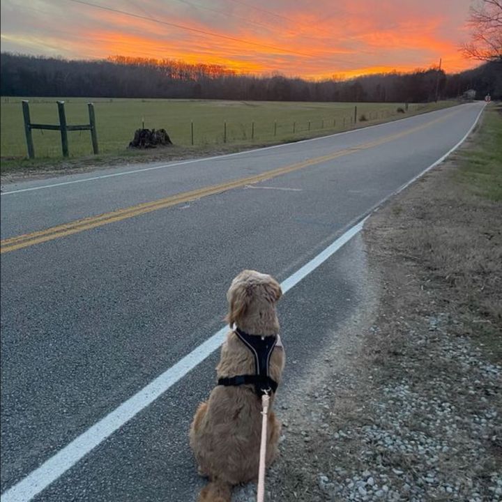 Profile Picture of Stephen_. Larry (@stephen_..larry) on Tiktok